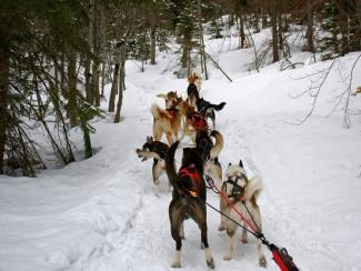1. Balade en Traineau 25 minutes (Enfant 3 à 8  ans) - LA CLUSAZ GIETTAZ