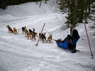 2. Balade en Traineau 25 minutes (Adulte) - LA CLUSAZ GIETTAZ